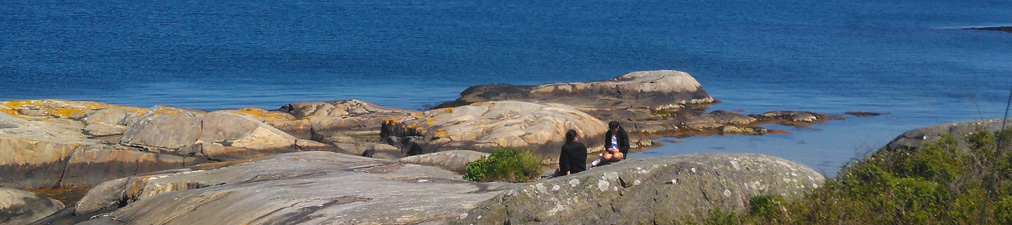 Öckerö Sotning & Ventilation